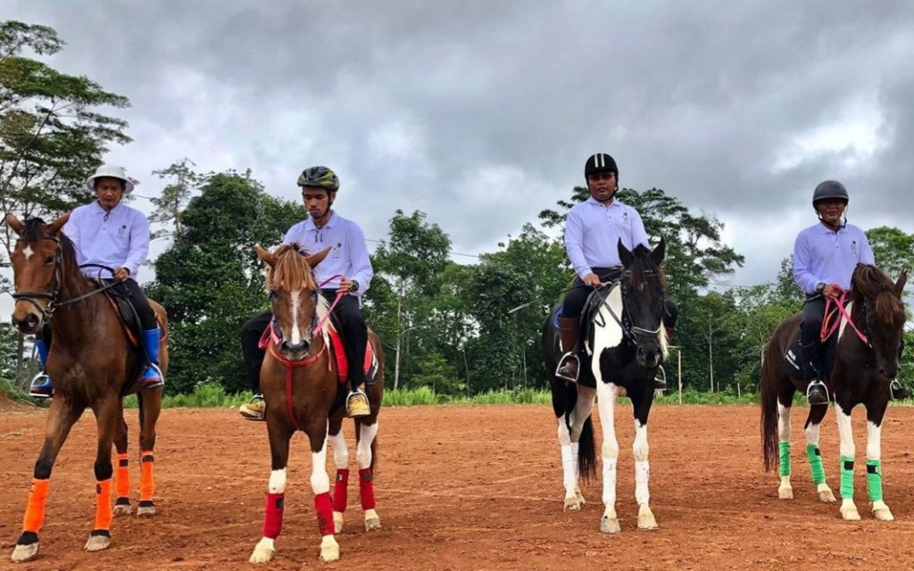 Berkuda di Lembah Durian Farm & Stable