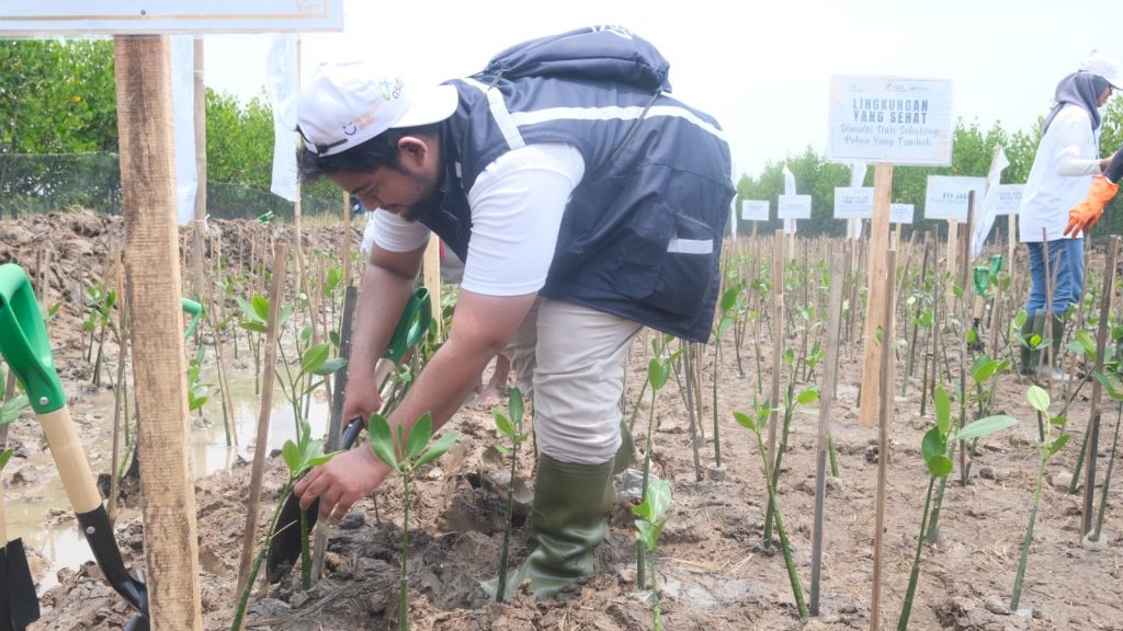 ASDP Tanam 3.000 Pohon Mangrove di Tangerang Komitmen Menjaga Kualitas Perairan