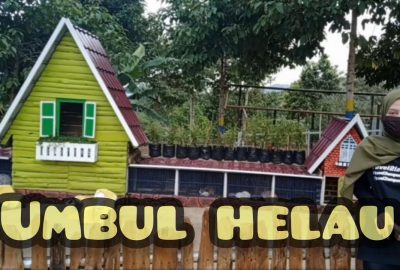 Umbul Helau Sering Digunakan untuk Tempat Penelitian