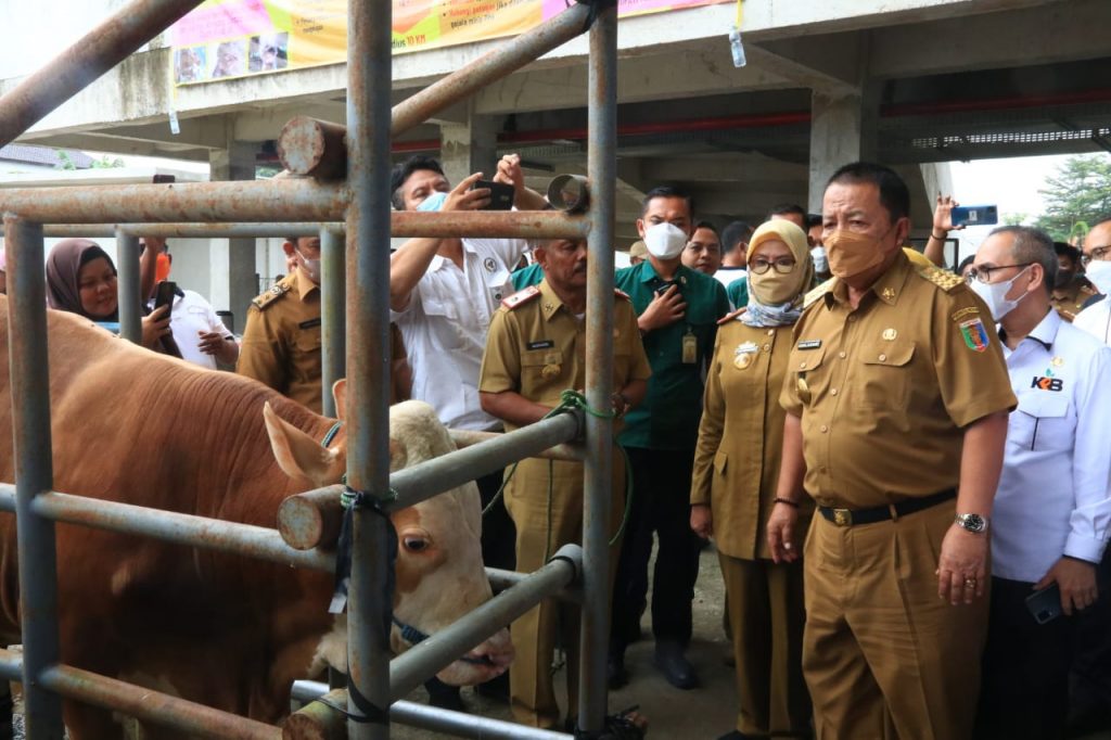Arinal Djunaidi Canangkan Tubaba Sebagai Sentra Ternak