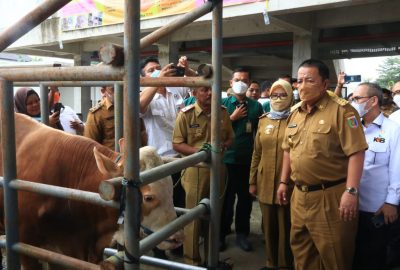 Arinal Djunaidi Canangkan Tubaba Sebagai Sentra Ternak