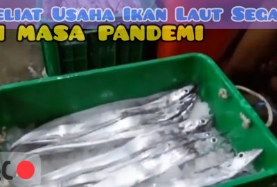 Geliat Usaha Ikan Laut Segar di Masa Pandemi
