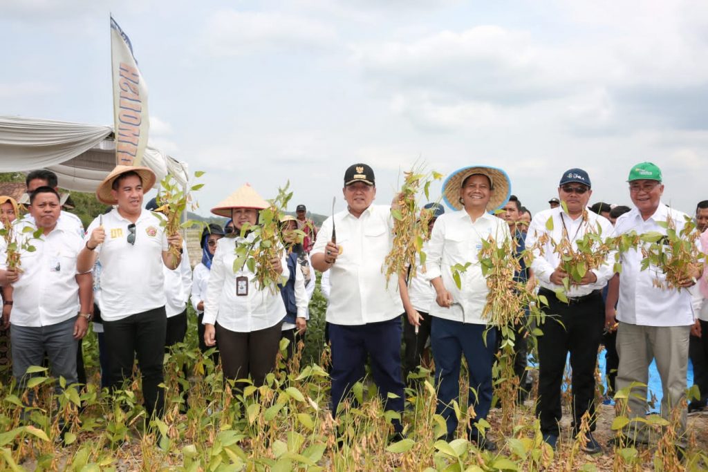 Gubernur Arinal Panen Perdana di Kebun Percobaan FP Unila