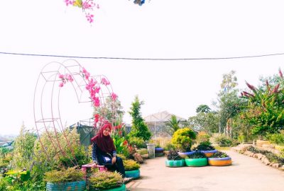 Belajar tentang Tanaman di Holtikultura Park