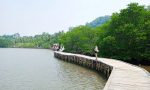 Wisata, Konservasi dan Edukasi di Hutan Mangrove Petengoran