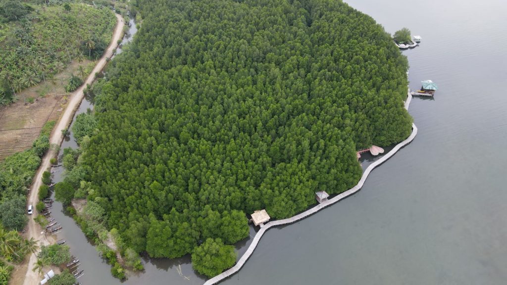 Hutang Mangrove Petengoran