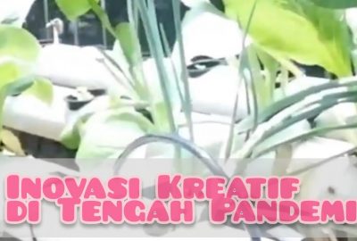 Menanam Sayuran Sistem Hidroponik di Masa Pandemi