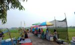 Sarapan Sambil Menikmati Suasana Alam di Jamur Sawah