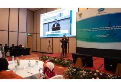 Kemenko Perekonomian dan KemenKopUKM Gelar APEC Workshop 2022