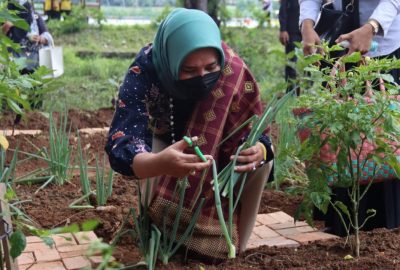 Kunker Ketua Tim Penggerak PKK Provinsi ke Lampung Utara Dipusatkan di Taman Wisata Bendungan Way Tebabeng