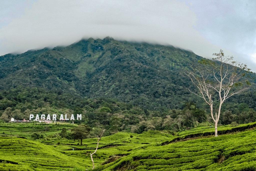 Menparekraf Apresiasi Desa Wisata Tebat Lereh Masuk 50 Besar ADWI 2022