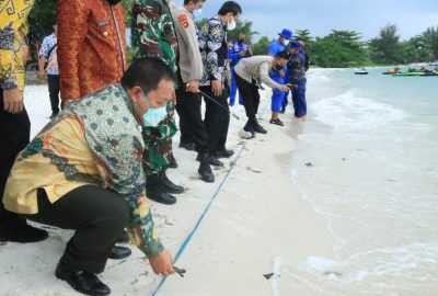 Gubernur Lampung dan Gubernur Babel Lepasliarkan Tukik di Pantai Tanjung Kelayang