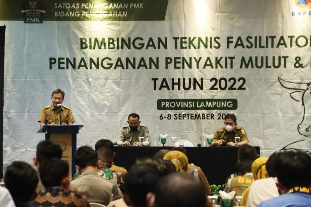 Pemprov Lampung Gelar Bimbingan Teknis Penanganan PMK