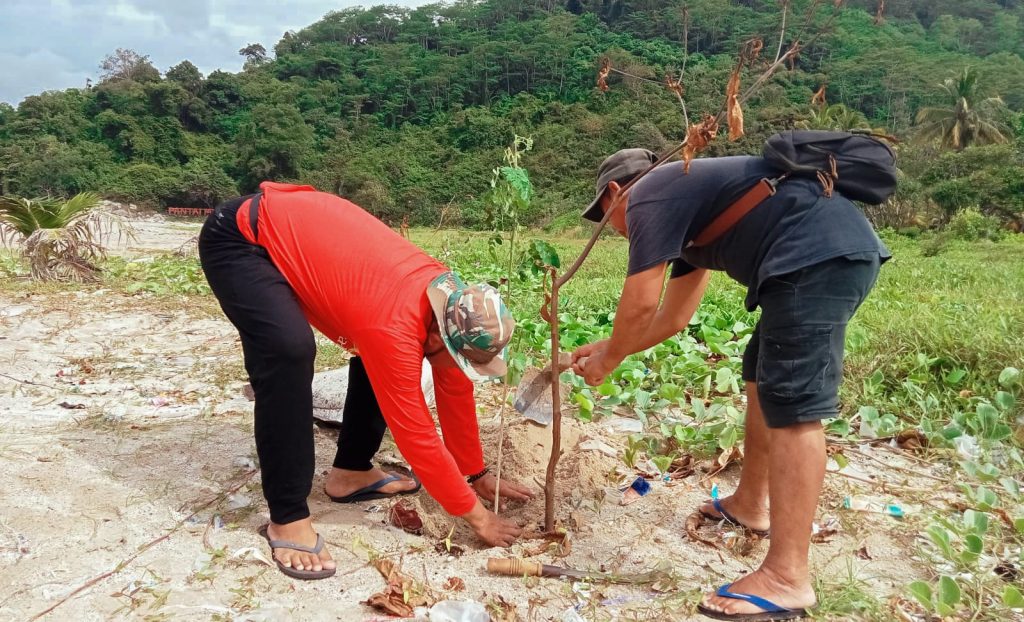 Penanaman bibit pohin di Pantai MInang Rua