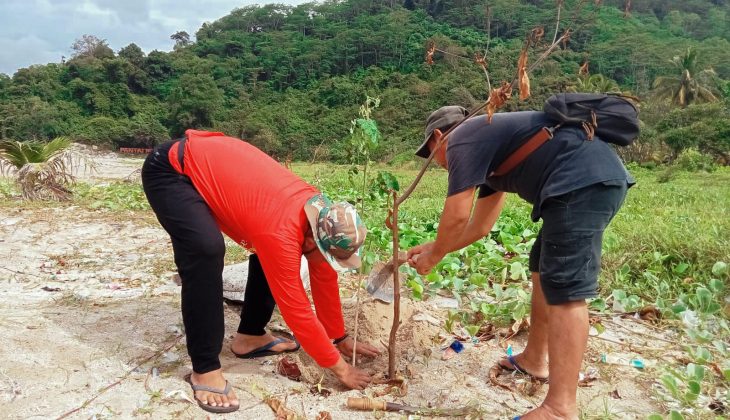Penanaman bibit pohin di Pantai MInang Rua