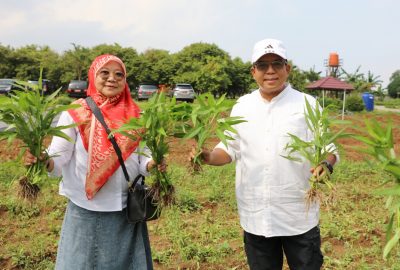 Pj Gubernur Samsudin Ajak Masyarakat Kunjungi Wisata Edukasi Kebun PKK Agropark