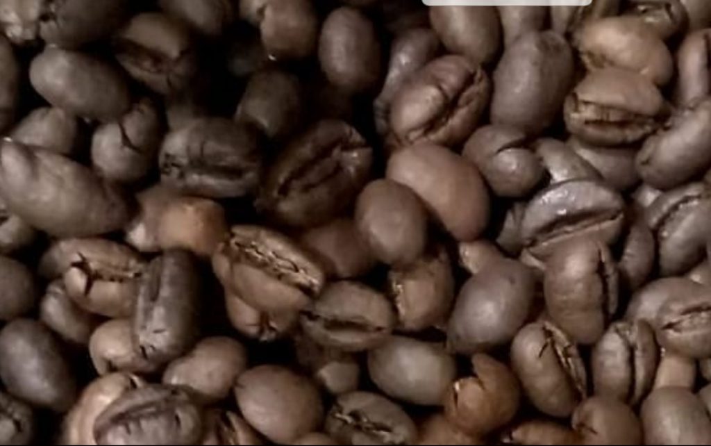 Kopi Lampung terkenal dengan cita rasa khas yang kaya dan aroma kuat, menjadi favorit para pecinta kopi lokal maupun internasional.