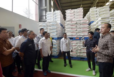 Sebanyak 56 Ribu Ton Kedelai Segera Banjiri Pasar