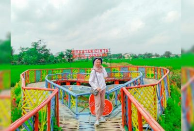 Warna-Warni Bunga di Taman Geswood