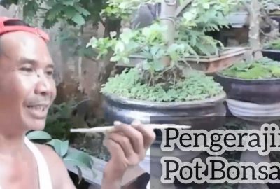 Warung Ginda Memproduksi Aneka Pot Bunga
