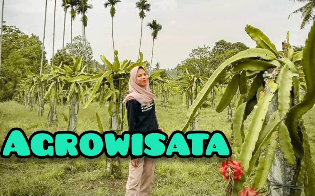 Agrowisata Sabina Lumbung Persada