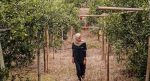Agrowisata Kebun Jeruk Pakde Prapto
